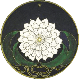 Psychothérapie jungienne Psychothérapie : Carl Gustav Jung
